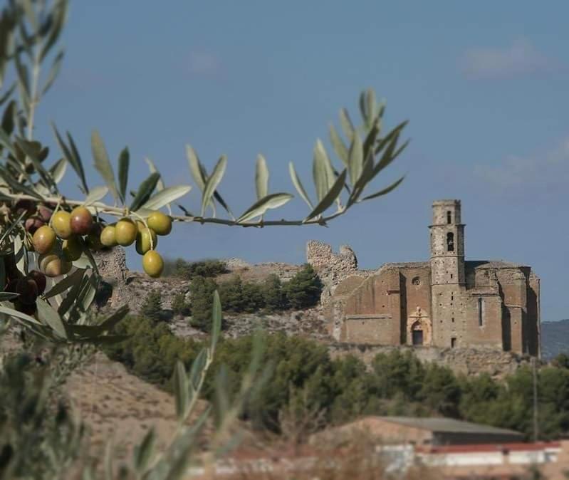Villa Loft Castello Castello de Farfana Exterior foto